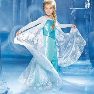 Chasing Fire Flies Elsa Deluxe costume